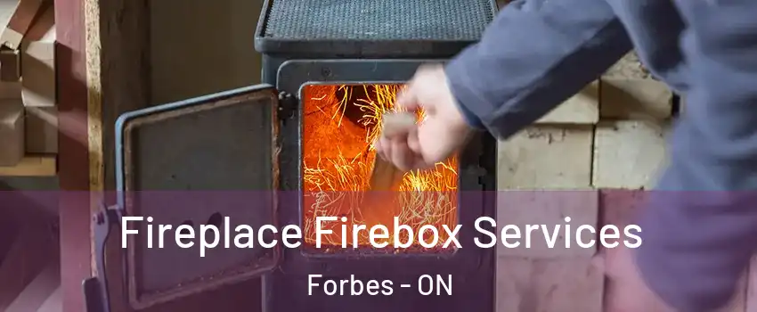  Fireplace Firebox Services Forbes - ON