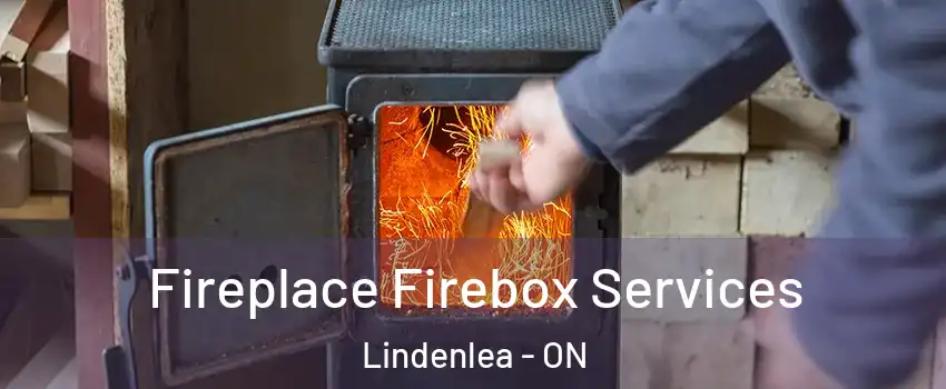  Fireplace Firebox Services Lindenlea - ON