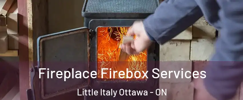  Fireplace Firebox Services Little Italy Ottawa - ON