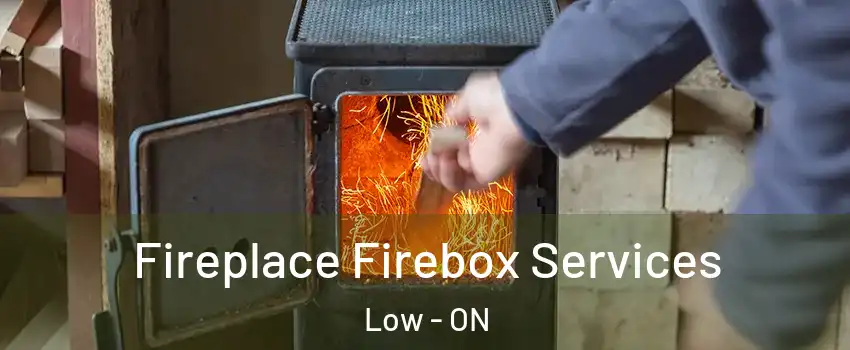  Fireplace Firebox Services Low - ON