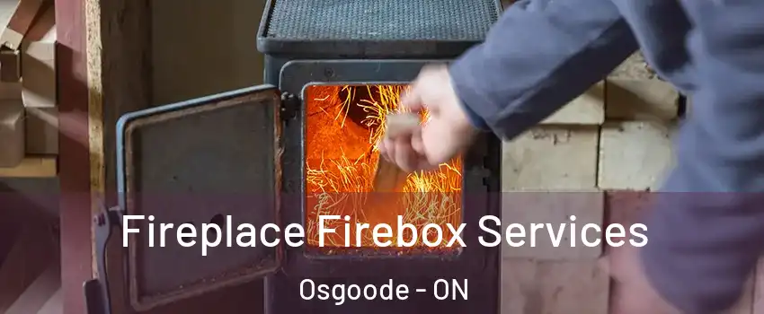  Fireplace Firebox Services Osgoode - ON