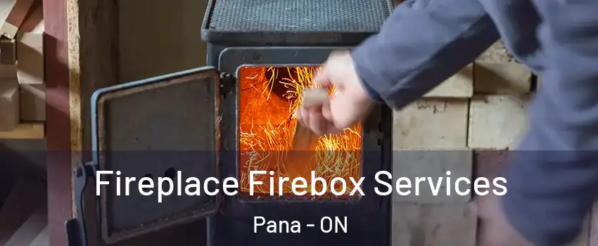  Fireplace Firebox Services Pana - ON