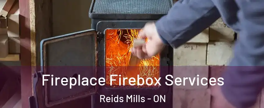  Fireplace Firebox Services Reids Mills - ON