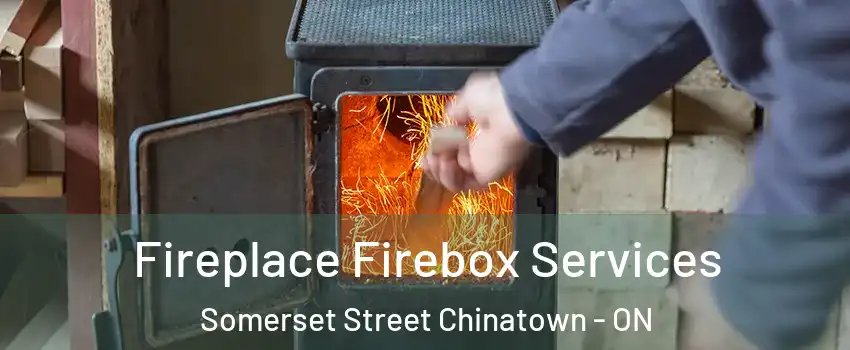  Fireplace Firebox Services Somerset Street Chinatown - ON