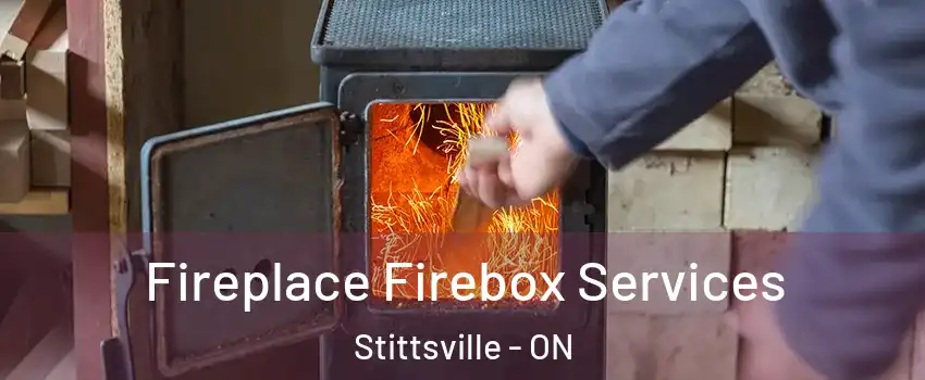  Fireplace Firebox Services Stittsville - ON