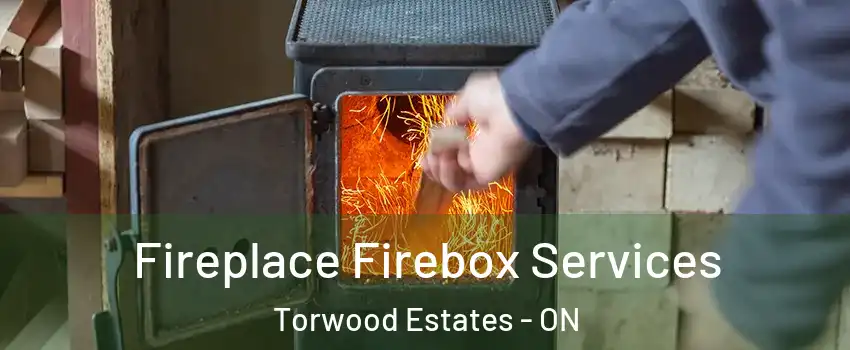  Fireplace Firebox Services Torwood Estates - ON