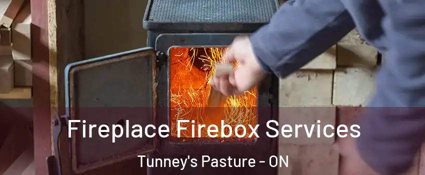  Fireplace Firebox Services Tunney's Pasture - ON