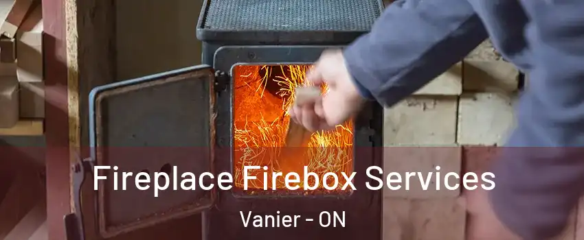  Fireplace Firebox Services Vanier - ON