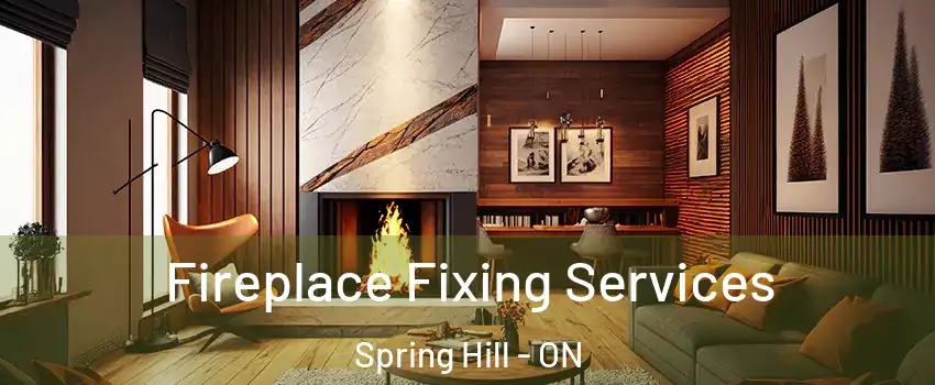  Fireplace Fixing Services Spring Hill - ON