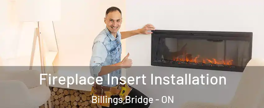  Fireplace Insert Installation Billings Bridge - ON