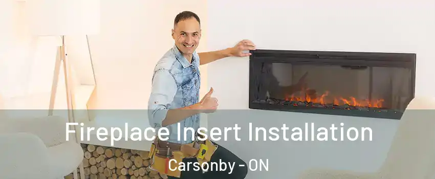  Fireplace Insert Installation Carsonby - ON