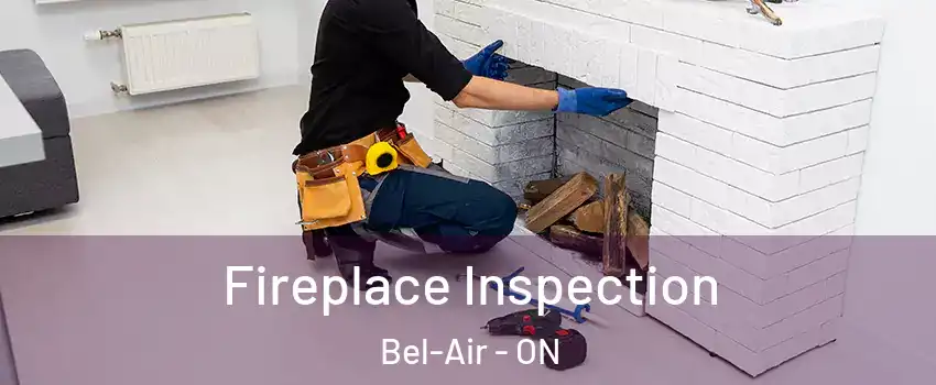  Fireplace Inspection Bel-Air - ON