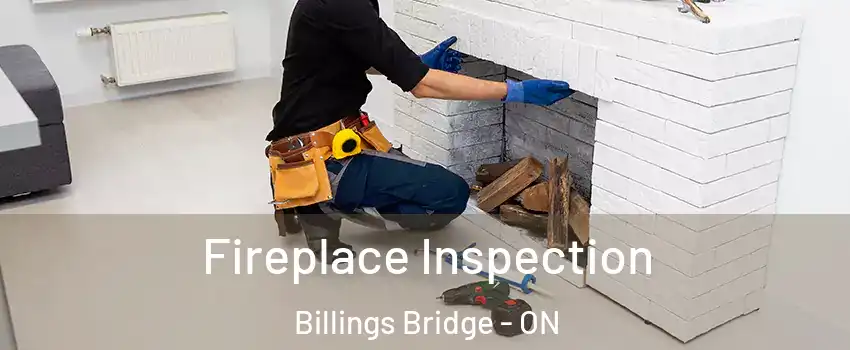  Fireplace Inspection Billings Bridge - ON