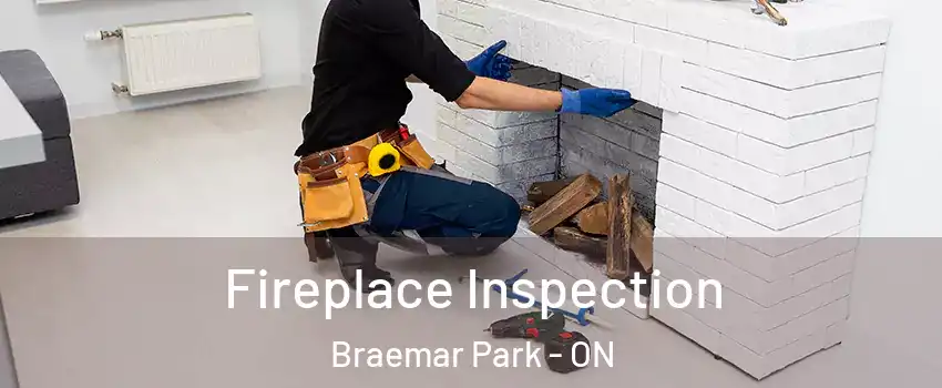  Fireplace Inspection Braemar Park - ON