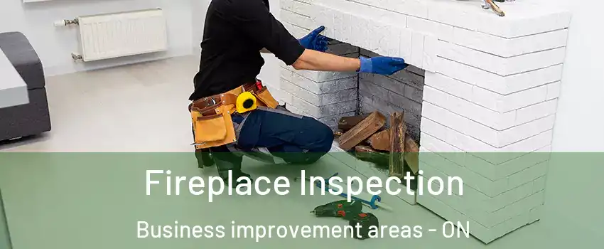  Fireplace Inspection Business improvement areas - ON