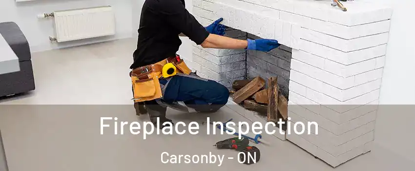  Fireplace Inspection Carsonby - ON