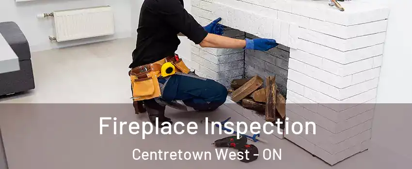  Fireplace Inspection Centretown West - ON