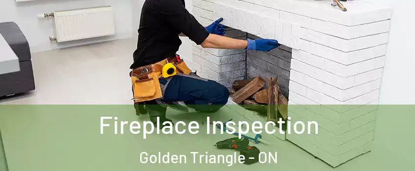  Fireplace Inspection Golden Triangle - ON