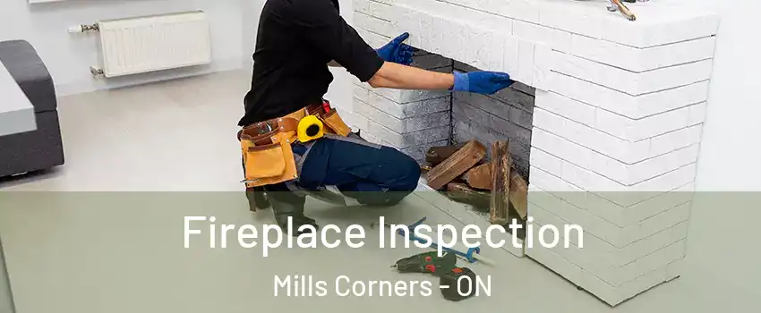  Fireplace Inspection Mills Corners - ON