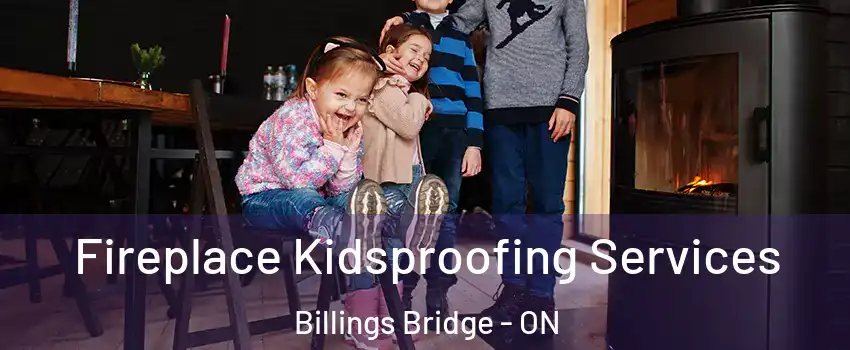  Fireplace Kidsproofing Services Billings Bridge - ON