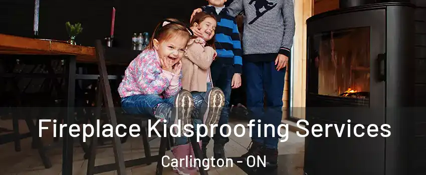  Fireplace Kidsproofing Services Carlington - ON