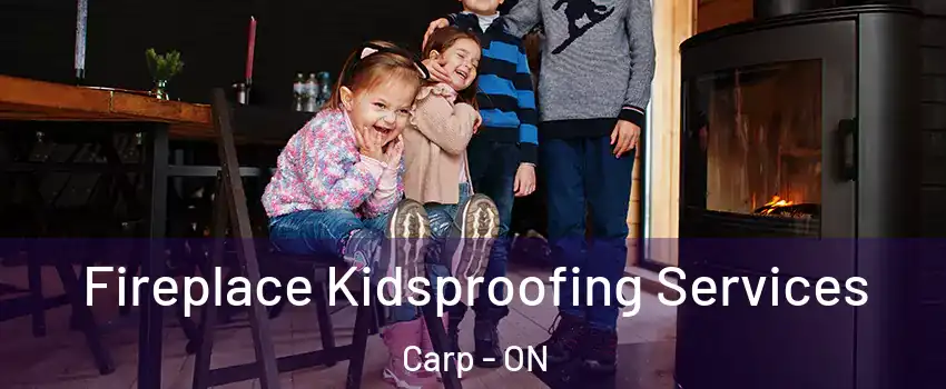  Fireplace Kidsproofing Services Carp - ON