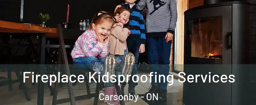  Fireplace Kidsproofing Services Carsonby - ON