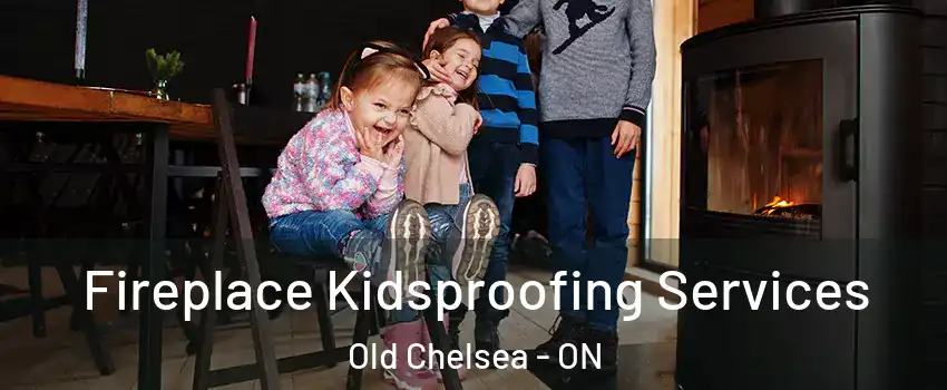  Fireplace Kidsproofing Services Old Chelsea - ON