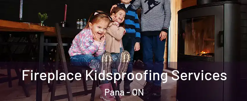  Fireplace Kidsproofing Services Pana - ON