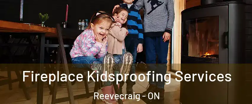  Fireplace Kidsproofing Services Reevecraig - ON