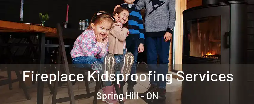  Fireplace Kidsproofing Services Spring Hill - ON