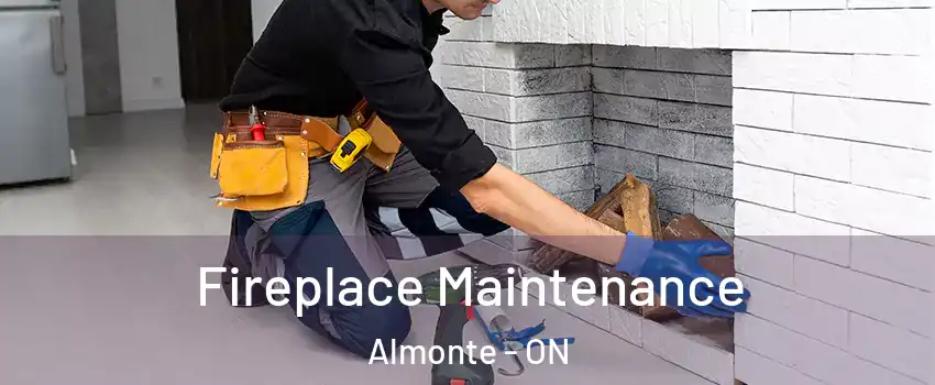  Fireplace Maintenance Almonte - ON