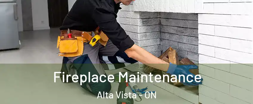  Fireplace Maintenance Alta Vista - ON