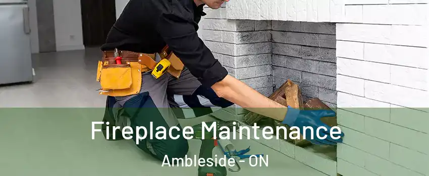  Fireplace Maintenance Ambleside - ON