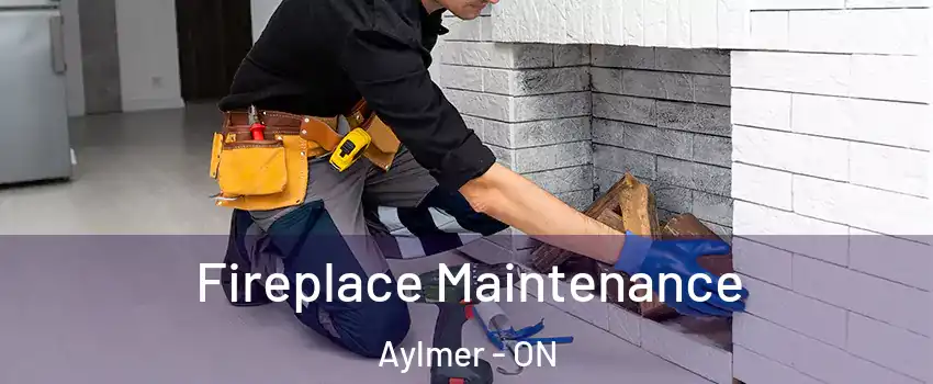  Fireplace Maintenance Aylmer - ON