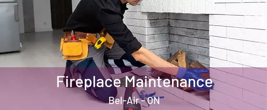  Fireplace Maintenance Bel-Air - ON