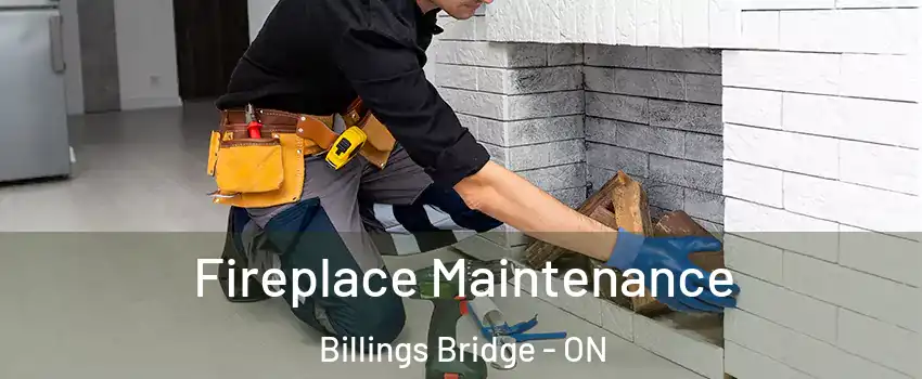  Fireplace Maintenance Billings Bridge - ON