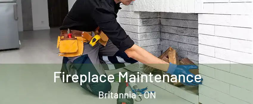  Fireplace Maintenance Britannia - ON