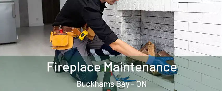  Fireplace Maintenance Buckhams Bay - ON