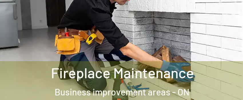  Fireplace Maintenance Business improvement areas - ON