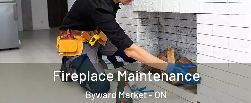  Fireplace Maintenance Byward Market - ON