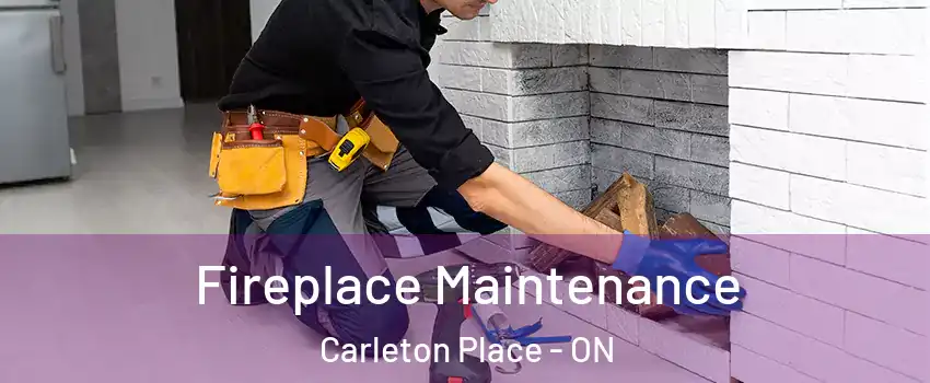  Fireplace Maintenance Carleton Place - ON