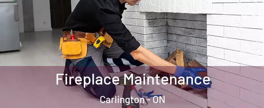  Fireplace Maintenance Carlington - ON