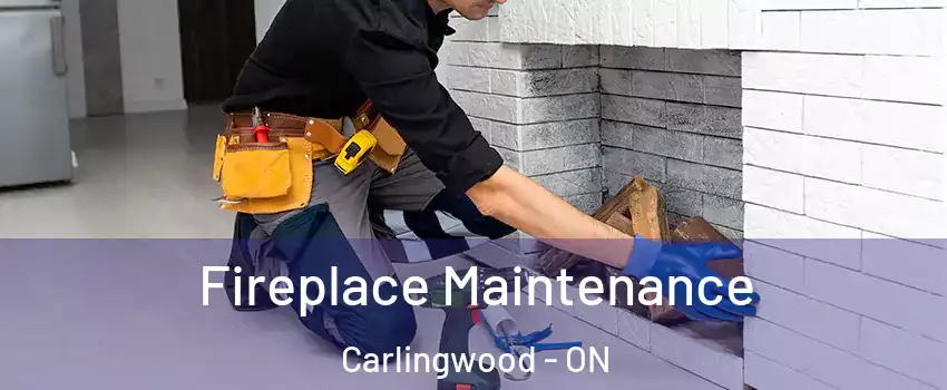  Fireplace Maintenance Carlingwood - ON