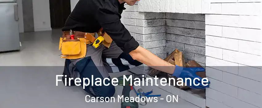  Fireplace Maintenance Carson Meadows - ON