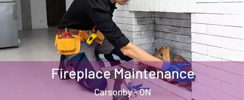  Fireplace Maintenance Carsonby - ON