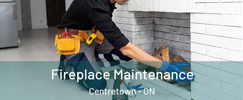  Fireplace Maintenance Centretown - ON