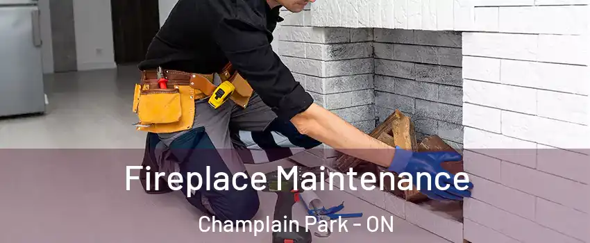  Fireplace Maintenance Champlain Park - ON