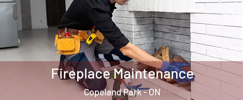  Fireplace Maintenance Copeland Park - ON