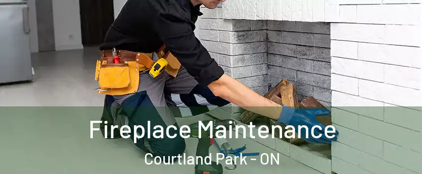  Fireplace Maintenance Courtland Park - ON